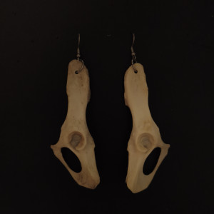 Kolczyki z kości kota, wyraźne duże