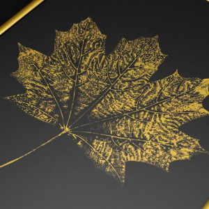 Autorska Grafika Botaniczna. Złoty Plakat Liść Klonu 20x30cm. Złota Rama Alu