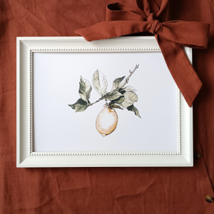 Gałązka cytryny ilustracja A4