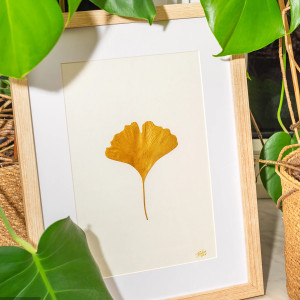 Dekoracja Botaniczna. Złoty Liść Miłorząb 30x40cm. Naturalny Dekor Ścienny