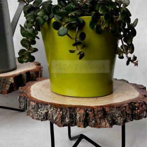 Drewniana podstawka z plastra drewna, unikat!