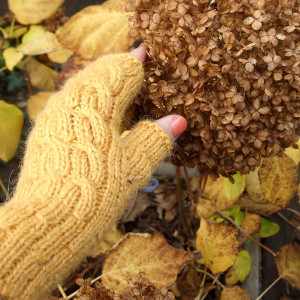 Mitenki, rękawiczki bez palców - Miodowe