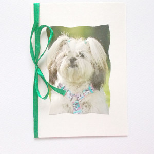 kartka dla dziewczynki, pies kartka bez życzeń, psy kartki, kartka z psem, zwierzęta kartki, kartka z pieskiem, fajne kartki ze zwierzętami