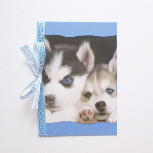 husky kartka, psy kartki, pies kartka bez życzeń, zwierzęta kartki, fajne kartki ze zwierzętami, kartki z psami