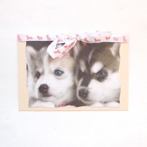 psy kartka, pies kartka bez życzeń, zwierzęta kartki, husky kartki z psami, kartka z psem, fajne kartki ze zwierzętami