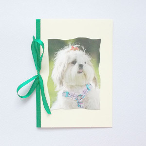 pies kartka, kartka bez życzeń, kartka z psem, zwierzęta kartki, psy kartki, kartki ze zwierzętami