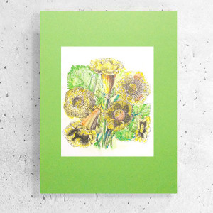 retro plakat A3, retro grafika na ścianę, 30x40 plakat z kwiatkami, botaniczny plakat, kwiat plakat, vintage obrazek do domu, rośliny plakat A3