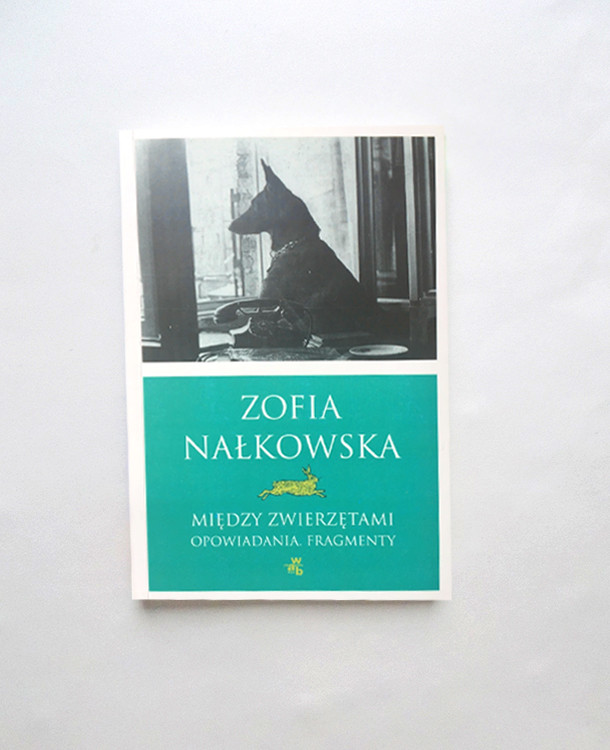 nowa książka Nałkowska, książka Zofia Nałkowska-Między zwierzętami-Opowiadania-Fragmenty