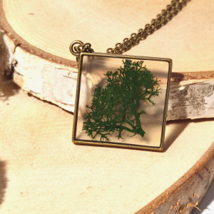 Wisiorek  z żywicy - Mech Chrobotek