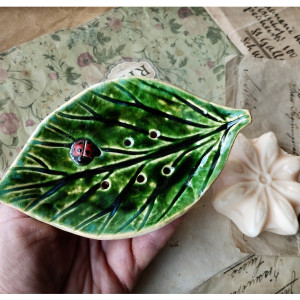 Mydelniczka listek z biedronką