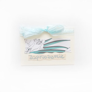 ogólne zaproszenie bez tekstu, uniwersalne zaproszenie, puste zaproszenie, ogólne zaproszenie, zaproszenie na imprezę,  zaproszenie na 18, zaproszenie na wieczór panieński