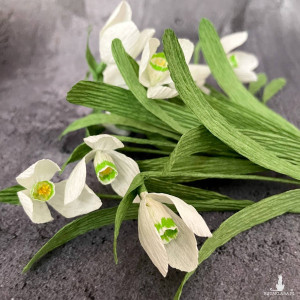 Przebiśniegi z krepiny włoskiej