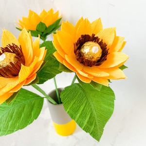 Słonecznik z cukierkiem