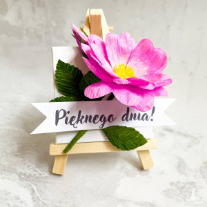 Kwiatek na sztaludze