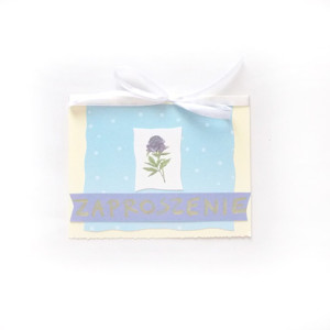 zaproszenie na imprezę, ogólne zaproszenie na różne okazje, pastelowe zaproszenia, puste zaproszenia, proste zaproszenia, kwiatki zaproszenia, ładne zaproszenia