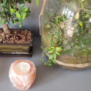 Świeca sojowa z naturalnym olejkiem z drzewa różanego i sandałowego.