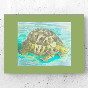 retro plakat A4, vintage obrazek z żółwiem, żółw plakat A4, zwierzęta obrazek 21x30, zoo obrazek, zwierzęta plakat do domu, retro obrazek A4, żółw obrazek vintage