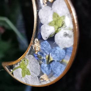 Kolczyki niezapominajki księżyc złota stal suszone kwiaty niezapominajka