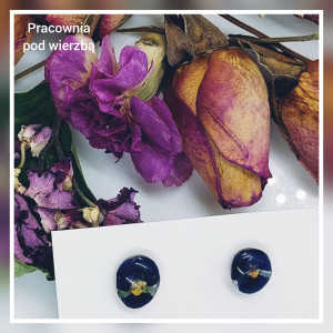 Kolczyki małe wkrętki bratek prawdziwe kwiaty granatowe