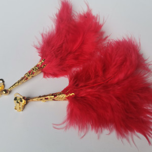 Klipsy-u pierzastych depilacja