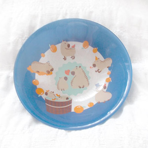 nowa miseczka z kapibarami, kapibary salaterka, kapibara miseczka ze szkła, szklana miseczka ze zwierzętami, kolorowa salaterka kapibary, ładne miseczki, fajne salaterki