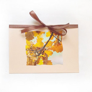 kartka z jesienią, jesienne liście kartka, jesienna kartka, kartka z liśćmi, kartka bez życzeń, kartki na różne okazje, eko kartki, proste kartki bez tekstu