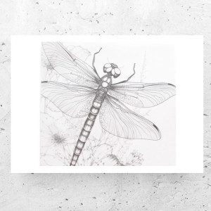 biało czarny plakat A4, ważka plakat 21x30, fajne plakaty do domu, owady plakaty vintage, skandynawskie plakaty, minimalizm plakat, nowoczesne plakaty do loftu, plakat z ważką, ważka obrazek,