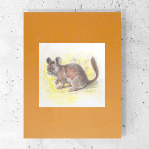 retro plakat A3, zwierzęta grafika na ścianę, 30x40 plakat vintage, boho plakat do domu, retro obrazek zwierzęta