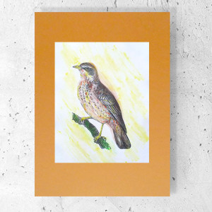 retro plakat 30x40, vintage plakat A3, retro grafika na ścianę, 30x40 plakat z ptakiem, ptaszek obraze A3, vintage obrazek do domu, zwierzęta plakat