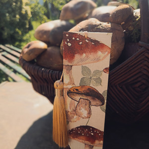 Zakładka do książki Grzybki