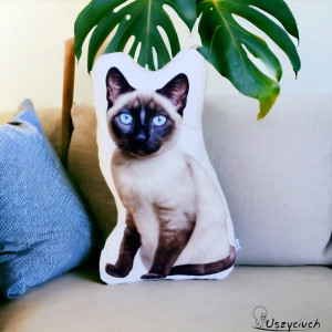 Poduszka kotek poduszka z kotkiem przytulanka kot maskotka kot syjamski