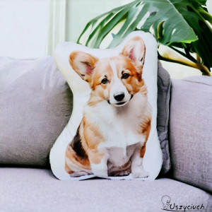 Przytulanka piesek poduszka z pieskiem poduszka piesek maskotka corgi