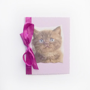 kotek kartka, kartka z kotkiem, kot kartka, kartka z kotem, koty kartki, zwierzęta kartki, kartka dla dziewczynki, kartka dla dziewczyny, kartka dla kobiety