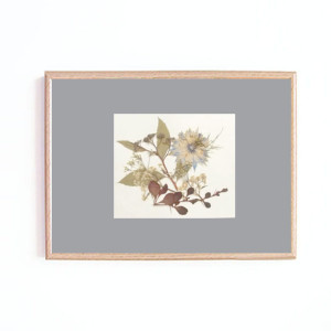 A4 obrazek w ramce, suszki obrazek oprawiony, obraz do przedpokoju, boho dekoracja na ścianę, obraz do salonu, obraz do sypialni, obraz do biura