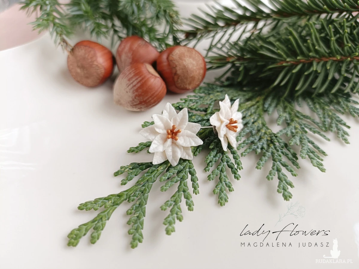 Kolczyki z poisencją