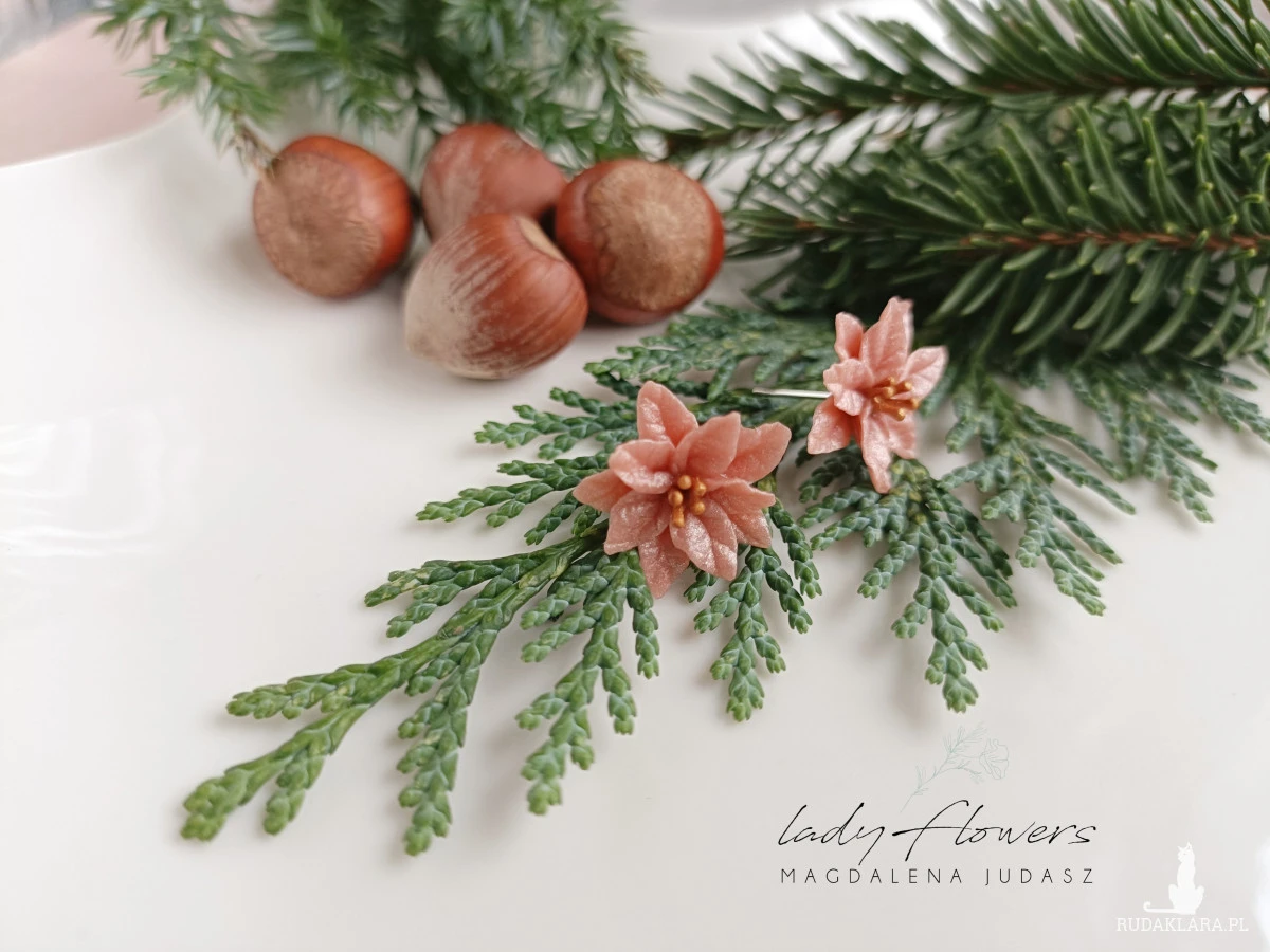 Kolczyki z poisencją