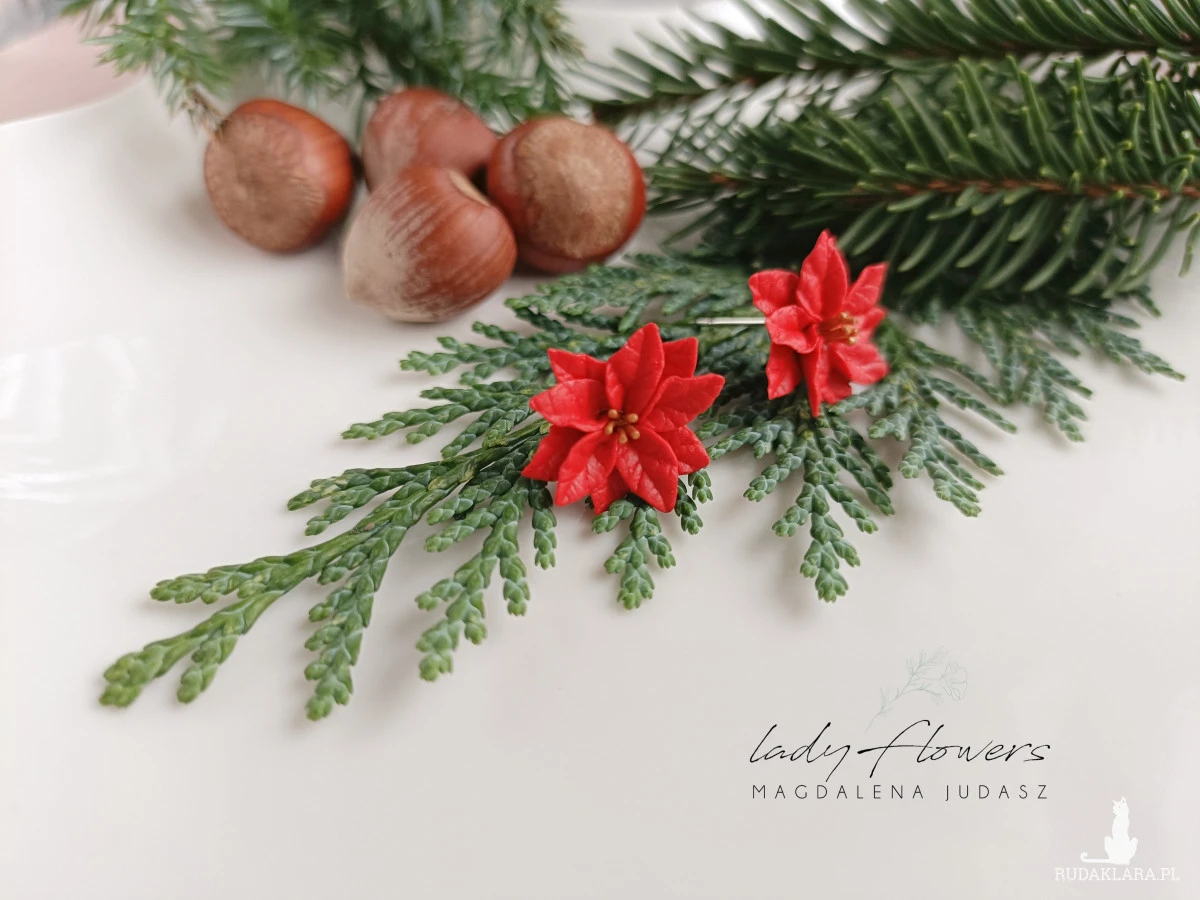 Kolczyki z poisencją