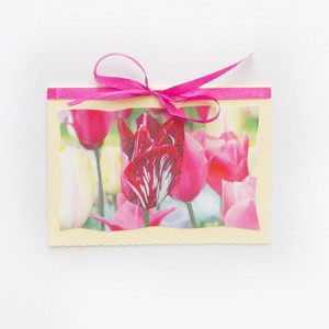 tulipany kartka, kwiaty kartka, kartka z tulipanami, kartka z kwiatkami, ładna kartka bez tekstu, fajne kartki okolicznościowe, kartka na ślub, kartki na różne okazje