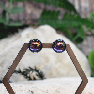 Stalowe kolczyki wkrętki kameleon #191