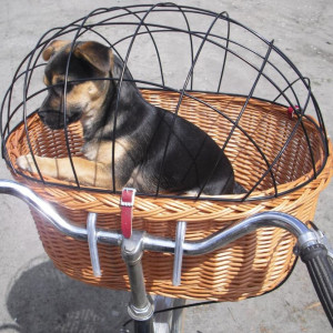 Bardzo duży transporter wiklinowy na rower dla psa naturalny