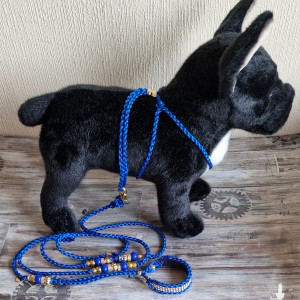 Komplet szelki+smycz, dla małych ras, smycz dla psa,