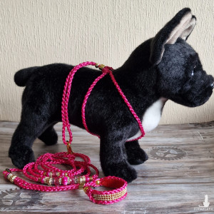 Komplet szelki+smycz, dla małych ras, smycz dla psa,