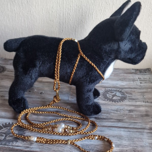 Komplet szelki+smycz, dla małych ras, smycz dla psa,