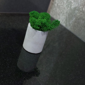 Chrobotek mech komunia wesele ślub podziekowanie