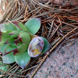 Fioletowa, owalna mała, żywiczna łąka