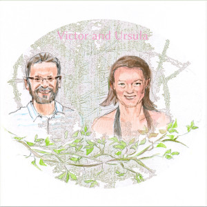 Portret na zamówienie, na podstawie zdjęć