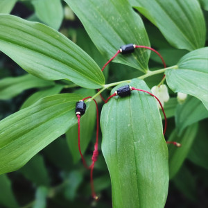 Minimalistyczna bransoletka Ochronna z czarnym turmalinem