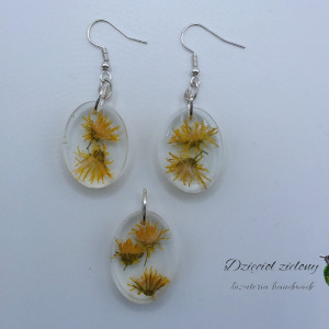 Kolczyki i wisiorek z suszonymi kwiatami