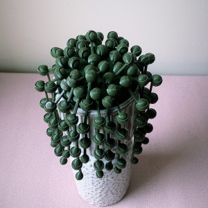 Wieczny starzec Senecio rowleyanus dekoracja kwiatowa ozdoba roślina3D