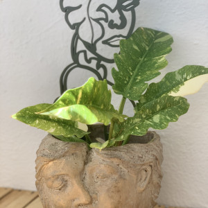 Dekoracyjna podpórka do kwiatów portret kobiety roślinna ozdoba